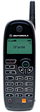 5.gif (6261 bytes)